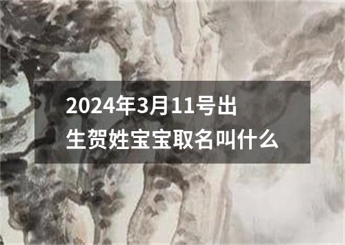 2024年3月11号出生贺姓宝宝取名叫什么