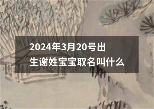 2024年3月20号出生谢姓宝宝取名叫什么