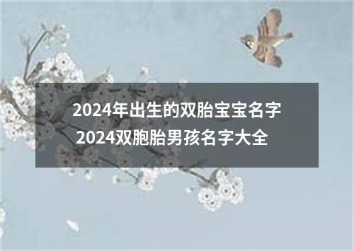 2024年出生的双胎宝宝名字 2024双胞胎男孩名字大全