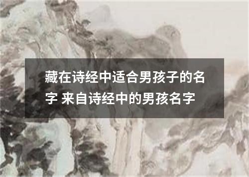 藏在诗经中适合男孩子的名字 来自诗经中的男孩名字