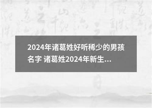 2024年诸葛姓好听稀少的男孩名字 诸葛姓2024年新生儿取名字