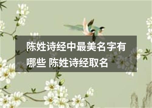 陈姓诗经中最美名字有哪些 陈姓诗经取名