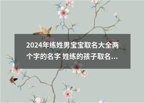 2024年练姓男宝宝取名大全两个字的名字 姓练的孩子取名男