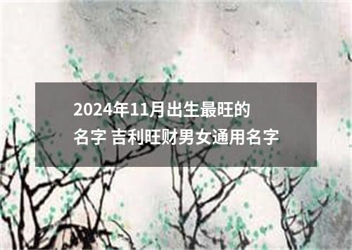 2024年11月出生最旺的名字 吉利旺财男女通用名字