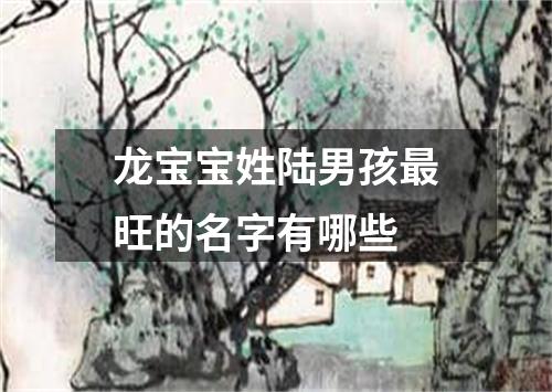 龙宝宝姓陆男孩最旺的名字有哪些