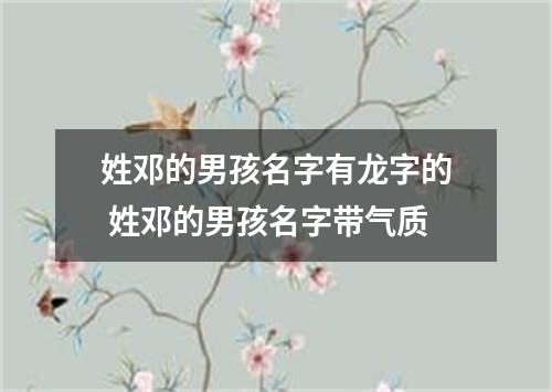 姓邓的男孩名字有龙字的 姓邓的男孩名字带气质