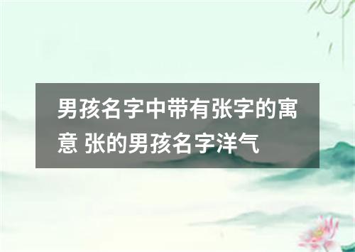 男孩名字中带有张字的寓意 张的男孩名字洋气