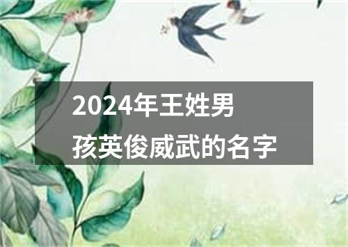 2024年王姓男孩英俊威武的名字