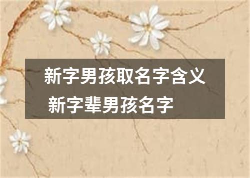 新字男孩取名字含义 新字辈男孩名字