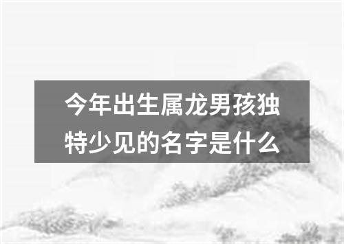 今年出生属龙男孩独特少见的名字是什么