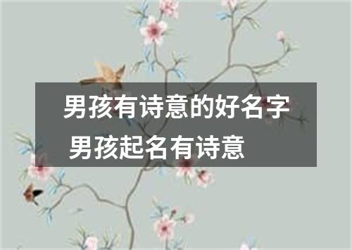 男孩有诗意的好名字 男孩起名有诗意