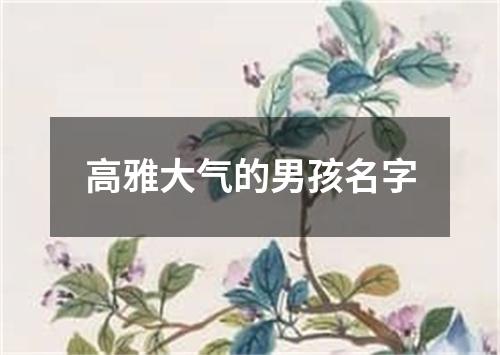 高雅大气的男孩名字