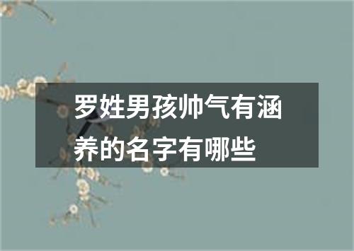 罗姓男孩帅气有涵养的名字有哪些