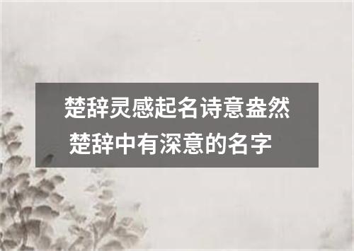楚辞灵感起名诗意盎然 楚辞中有深意的名字
