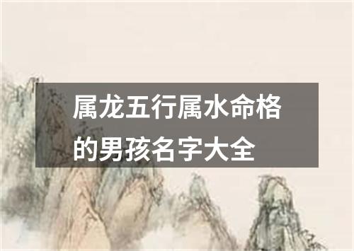 属龙五行属水命格的男孩名字大全