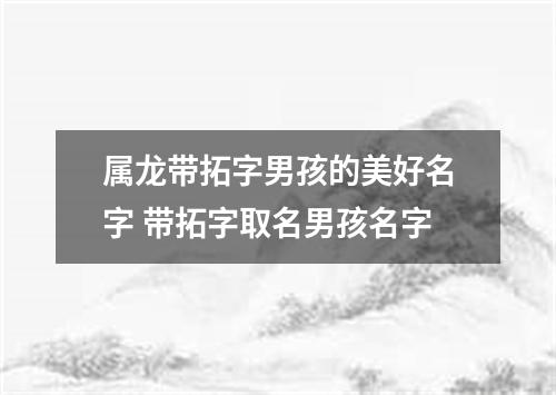 属龙带拓字男孩的美好名字 带拓字取名男孩名字