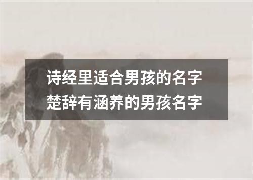 诗经里适合男孩的名字 楚辞有涵养的男孩名字