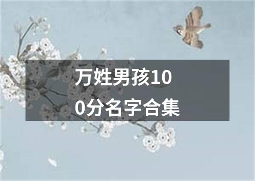 万姓男孩100分名字合集