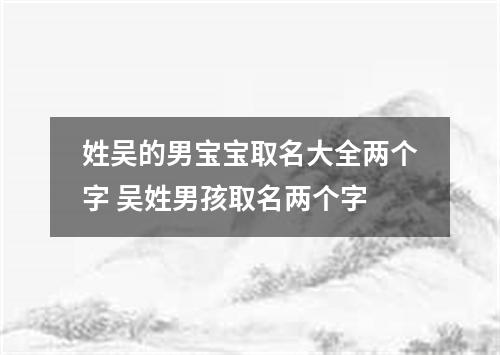 姓吴的男宝宝取名大全两个字 吴姓男孩取名两个字