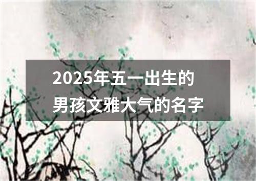 2025年五一出生的男孩文雅大气的名字