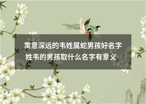 寓意深远的韦姓属蛇男孩好名字 姓韦的男孩取什么名字有意义