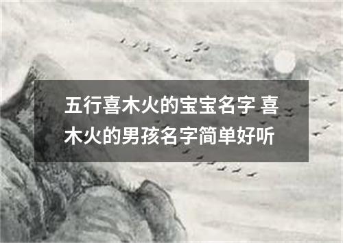 五行喜木火的宝宝名字 喜木火的男孩名字简单好听