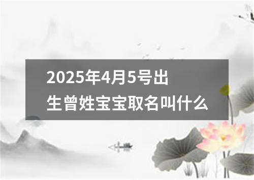 2025年4月5号出生曾姓宝宝取名叫什么