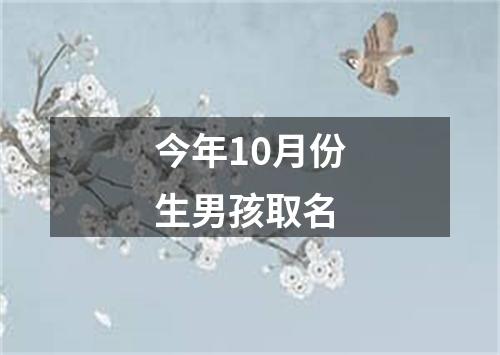 今年10月份生男孩取名