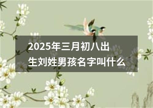 2025年三月初八出生刘姓男孩名字叫什么