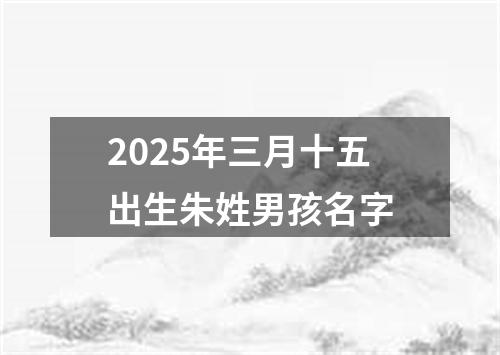 2025年三月十五出生朱姓男孩名字