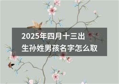 2025年四月十三出生孙姓男孩名字怎么取