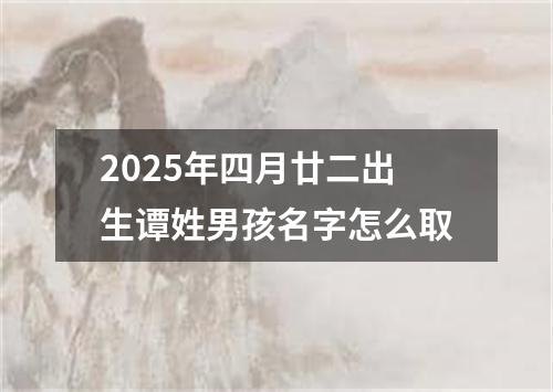 2025年四月廿二出生谭姓男孩名字怎么取