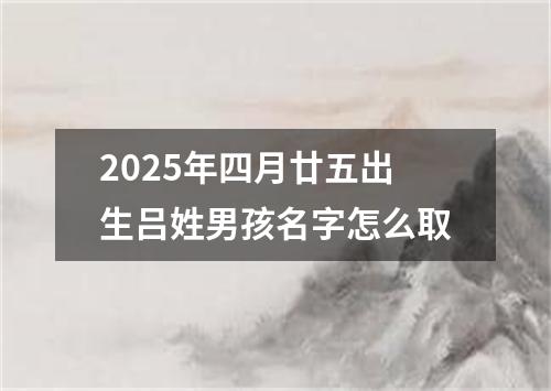 2025年四月廿五出生吕姓男孩名字怎么取