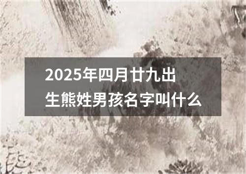 2025年四月廿九出生熊姓男孩名字叫什么