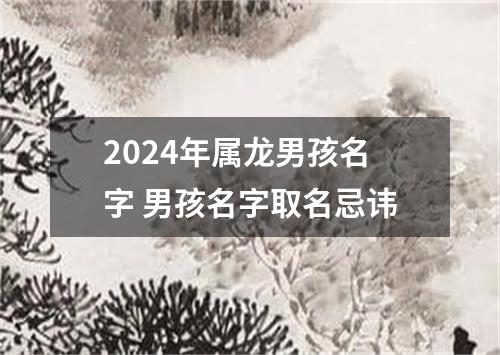 2024年属龙男孩名字 男孩名字取名忌讳