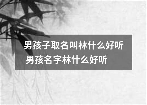 男孩子取名叫林什么好听 男孩名字林什么好听