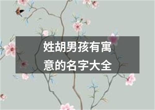 姓胡男孩有寓意的名字大全