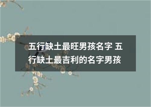 五行缺土最旺男孩名字 五行缺土最吉利的名字男孩