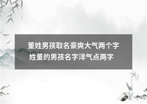 董姓男孩取名豪爽大气两个字 姓董的男孩名字洋气点两字