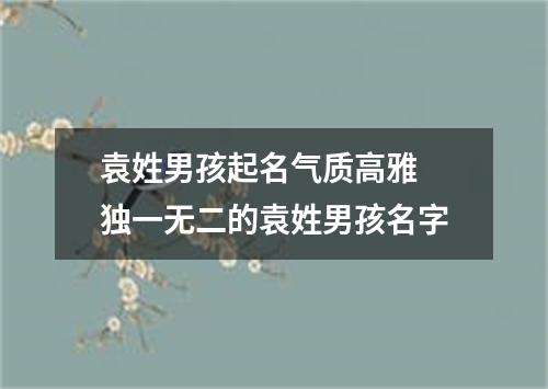 袁姓男孩起名气质高雅 独一无二的袁姓男孩名字