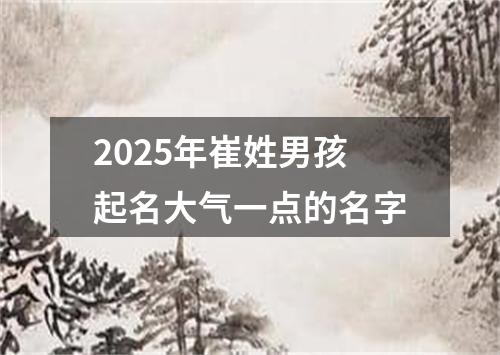 2025年崔姓男孩起名大气一点的名字