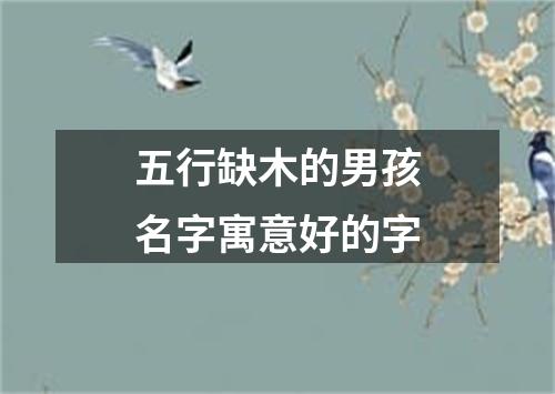 五行缺木的男孩名字寓意好的字