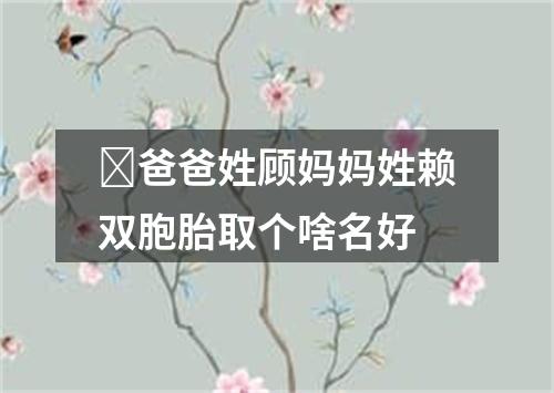 ​爸爸姓顾妈妈姓赖双胞胎取个啥名好