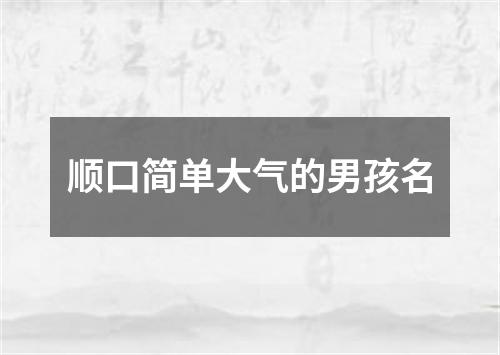顺口简单大气的男孩名