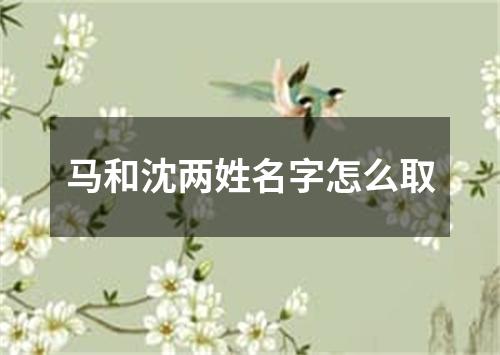 马和沈两姓名字怎么取