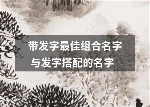 带发字最佳组合名字 与发字搭配的名字