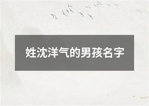 姓沈洋气的男孩名字