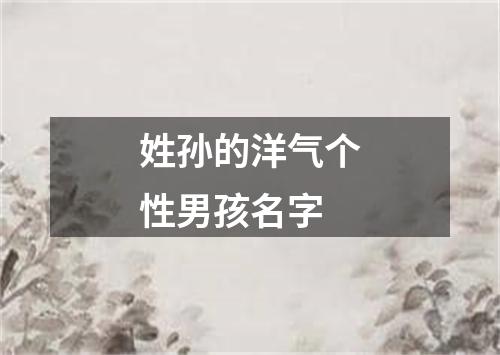 姓孙的洋气个性男孩名字