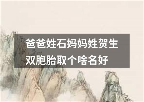 爸爸姓石妈妈姓贺生双胞胎取个啥名好