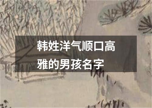 韩姓洋气顺口高雅的男孩名字